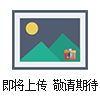 費斯托 電磁閥